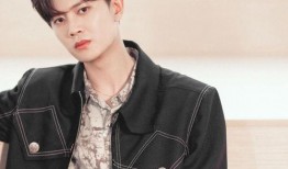 任嘉伦漫画爆料视频大全,揭秘明星幕后生活点滴